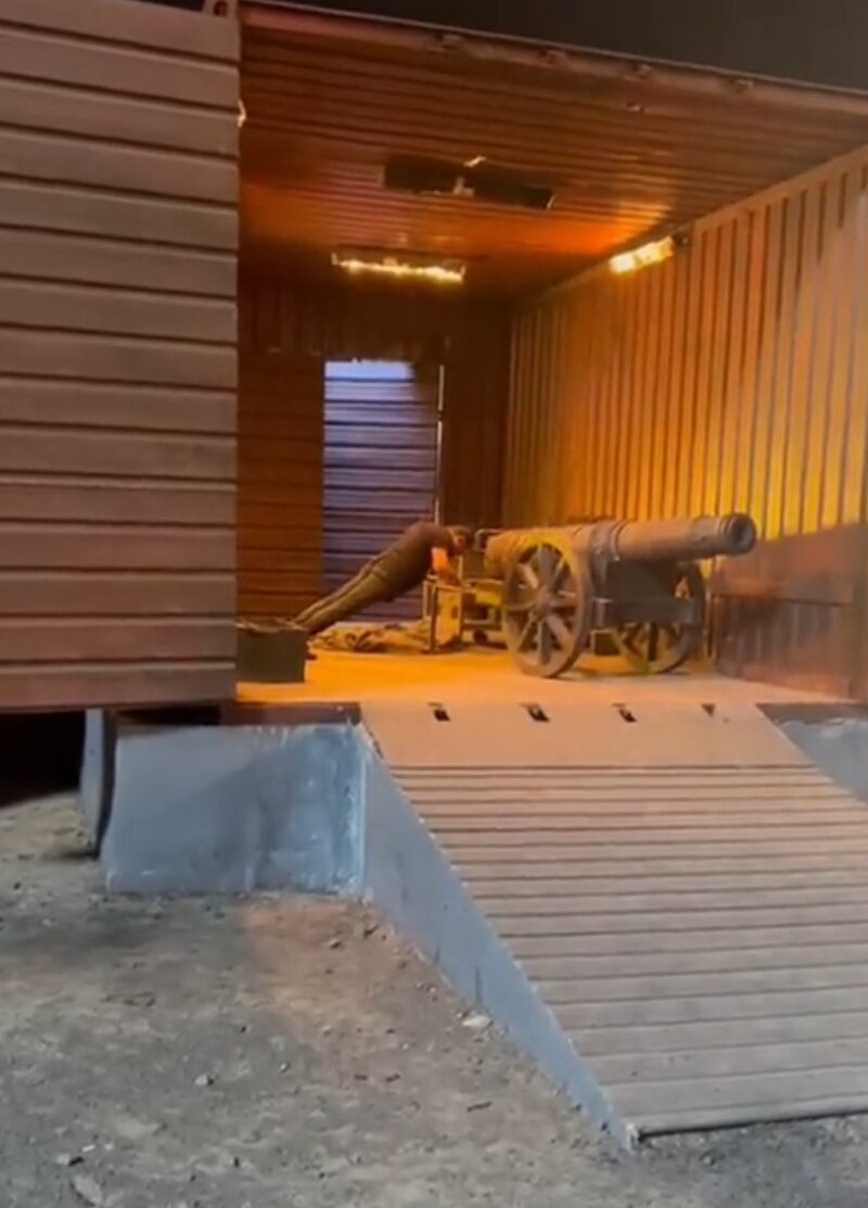 Kamalhaasan push ups viral video