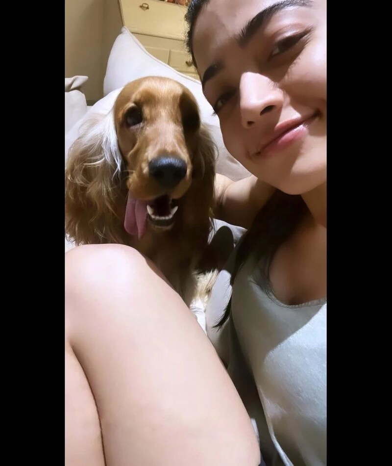 Rashmika mandanna new clicks