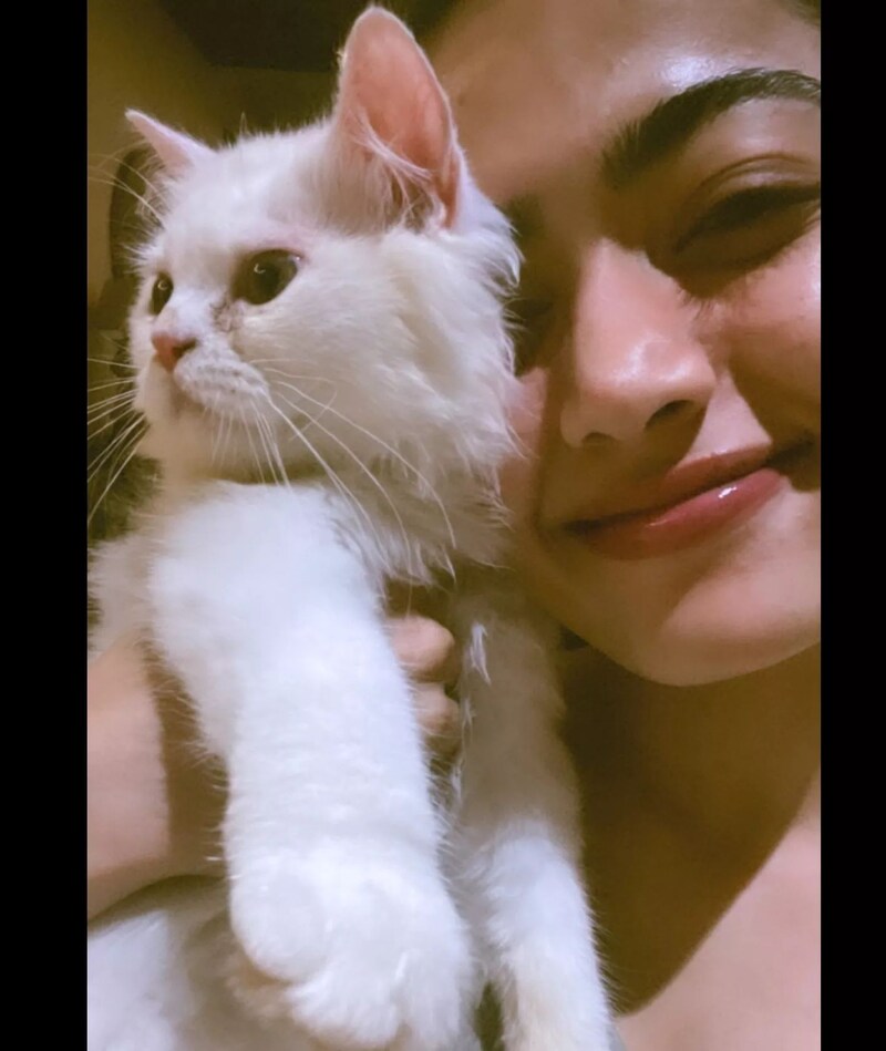 Rashmika mandanna new clicks