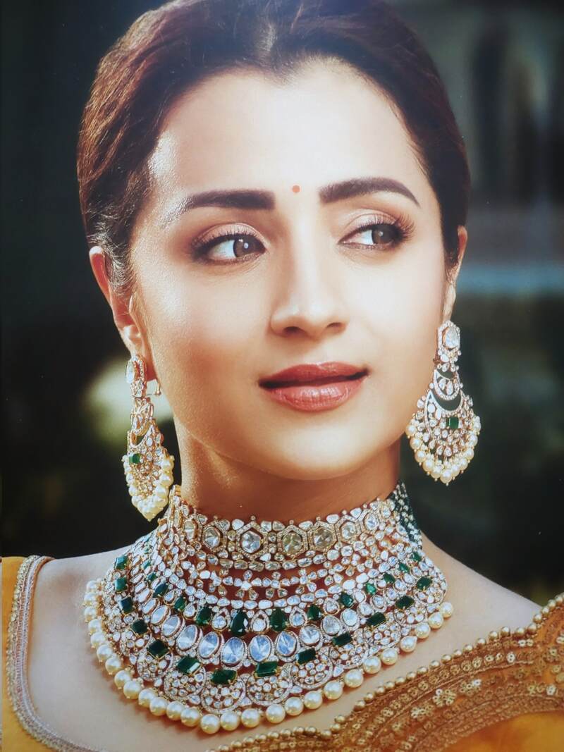 Vijay trisha reunion after 14 years