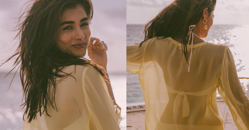 Pooja hegde new beast hot clicks