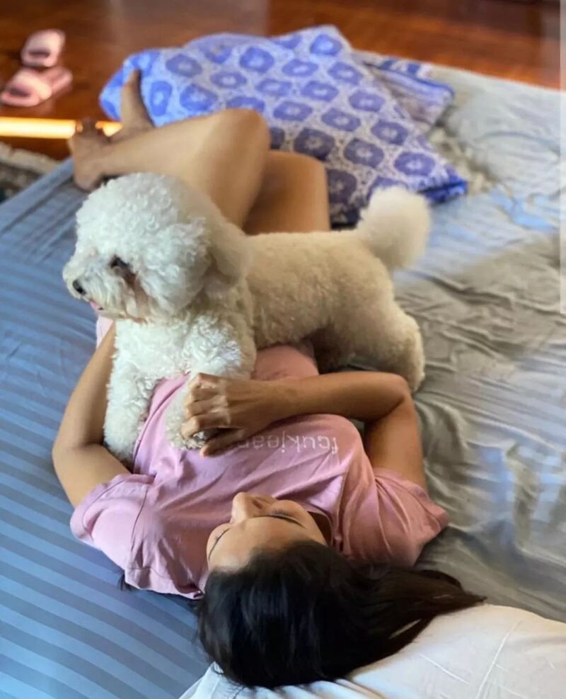 Andrea jeremiah new hot bed dog