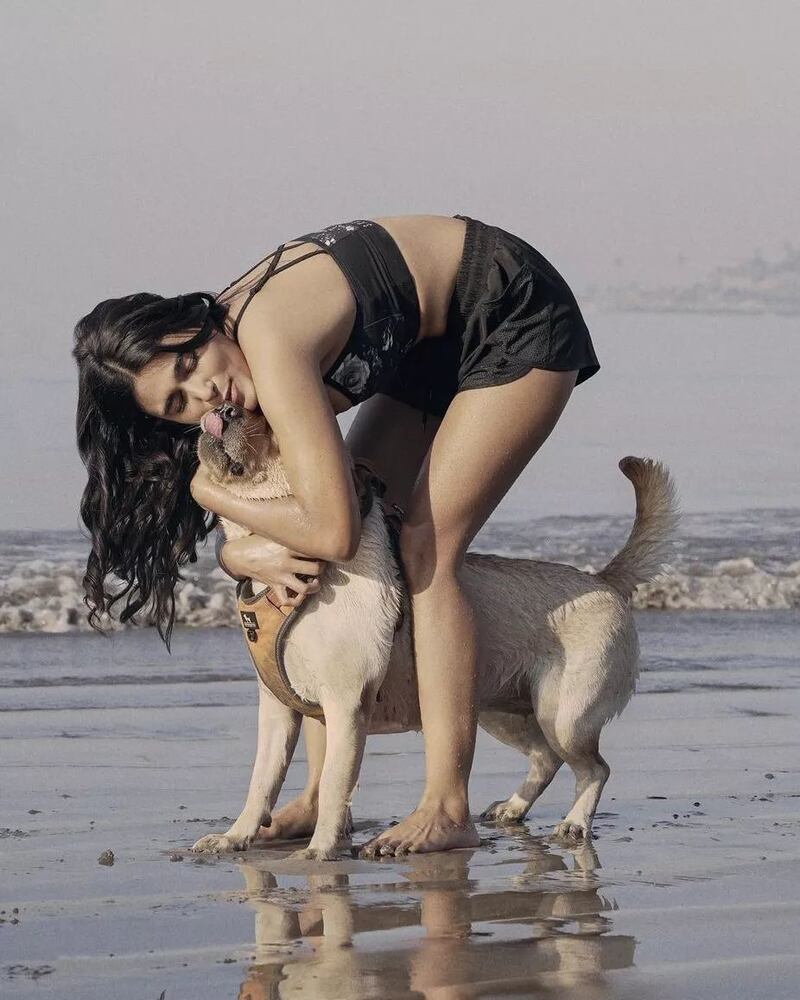 Shalini pandey new hot