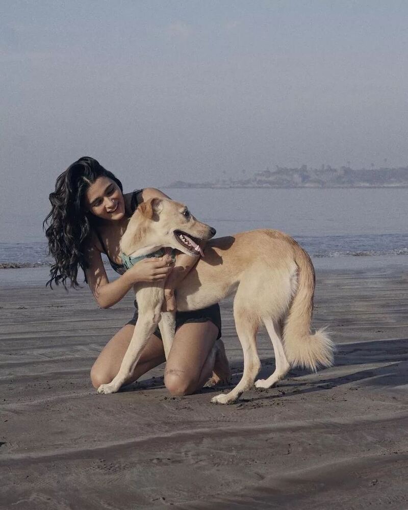 Shalini pandey new hot