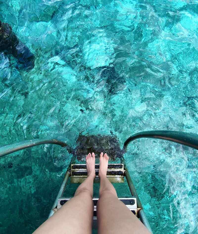 Amyra dastur new anegan