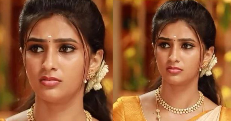 Vaishusundar vijaytv new rajarani